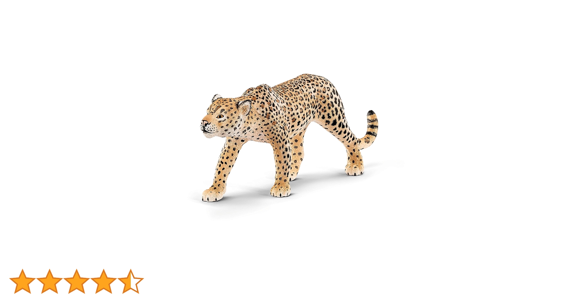 81M4CrQG1DL.jpg_BO30,255,255,